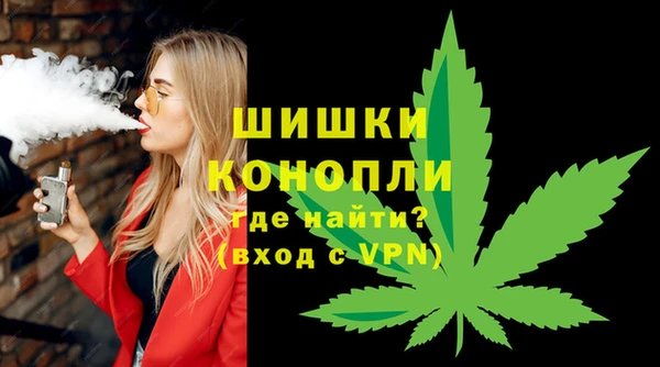 PSILOCYBIN Абаза