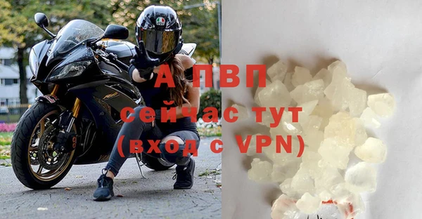 PSILOCYBIN Абаза