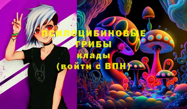 PSILOCYBIN Абаза