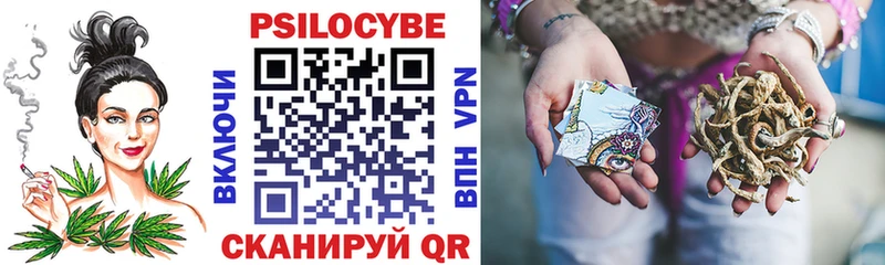где купить наркоту  Хабаровск  Псилоцибиновые грибы Psilocybine cubensis 